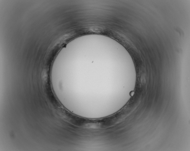 X0000115070595200911101304