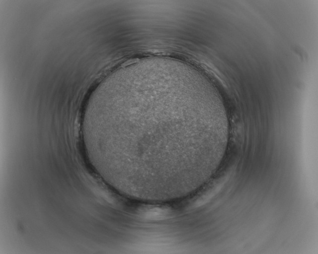 X0000115070597200911101304
