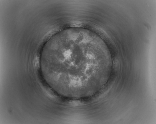 X0000115070598200911101304