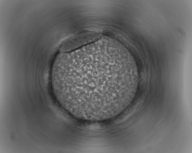 X0000115070600200911101304