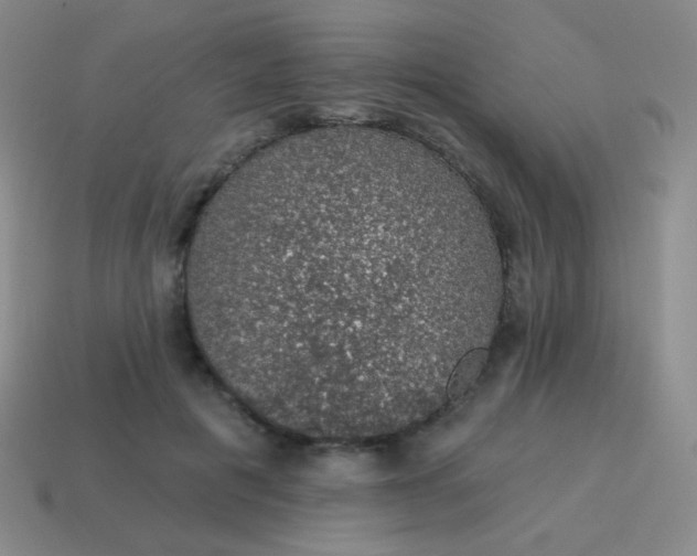 X0000115070601200911101304