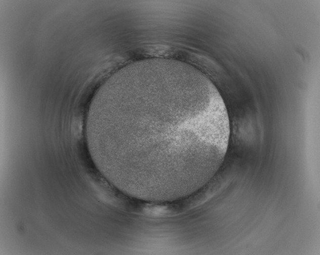 X0000115070602200911101304