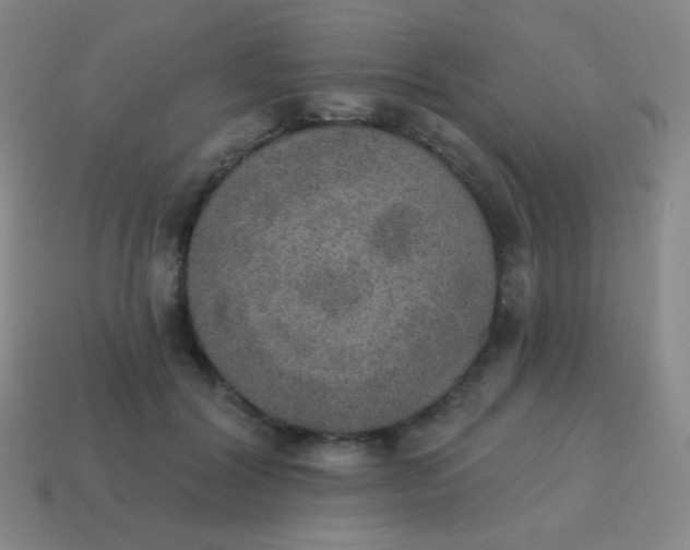 X0000115070604200911101304