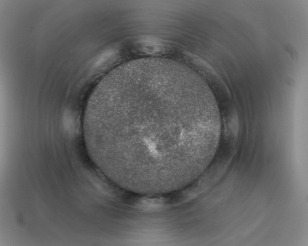 X0000115070606200911101304