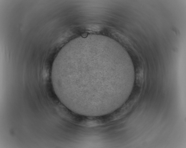 X0000115070608200911101304