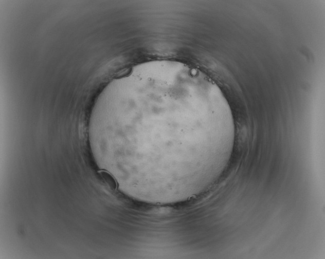 X0000115070609200911101304