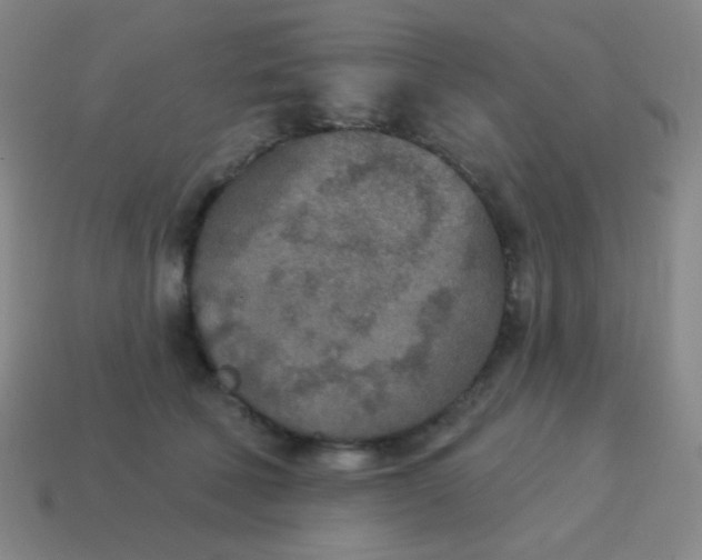 X0000115070610200911101304