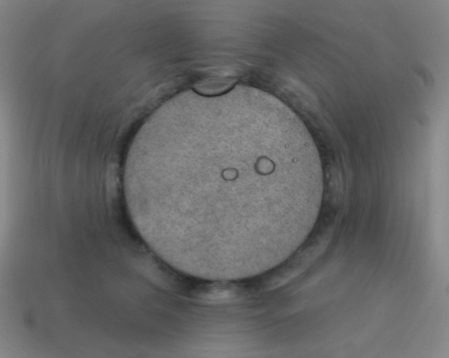 X0000115070612200911101304