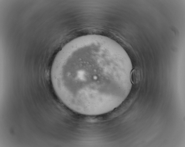 X0000115070613200911101304