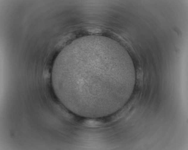 X0000115070614200911101304