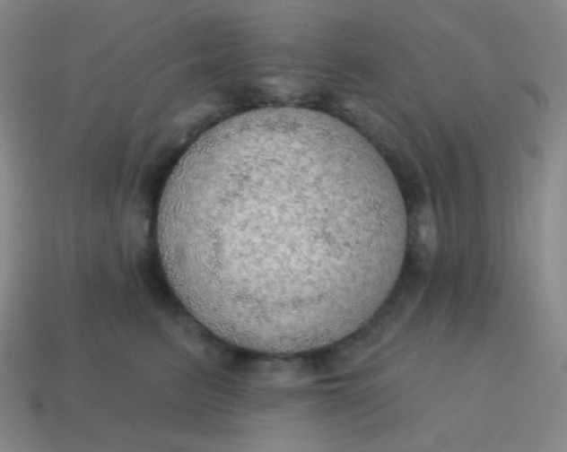 X0000115070615200911101304