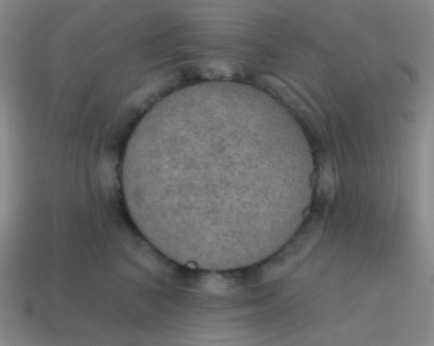 X0000115070616200911101304
