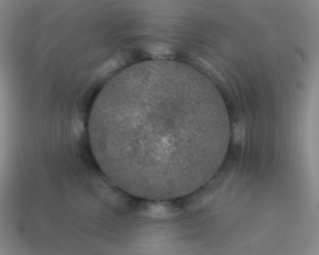 X0000115070618200911101304