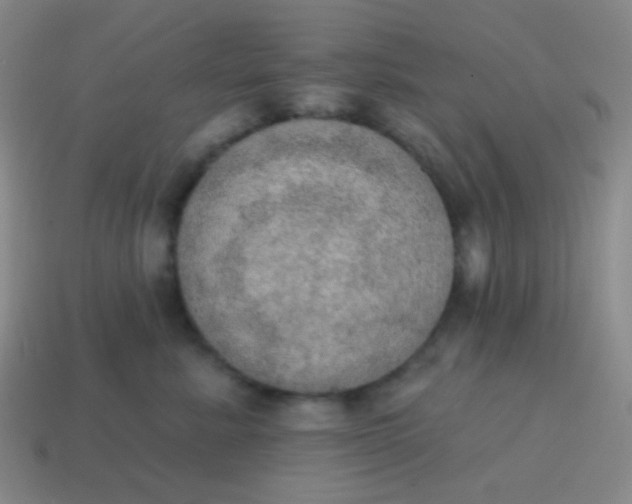 X0000115070619200911101304