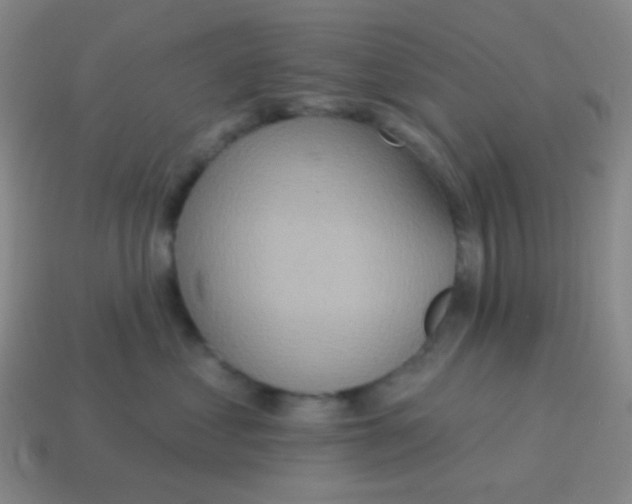 X0000115070621200911101304