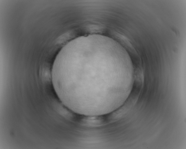 X0000115070622200911101304