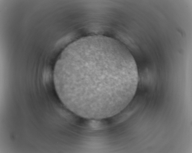 X0000115070623200911101304