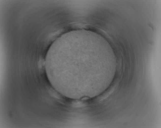 X0000115070624200911101304