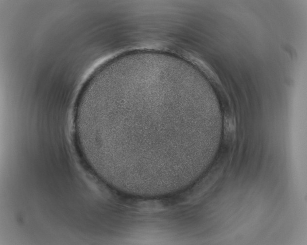 X0000115070628200911101303
