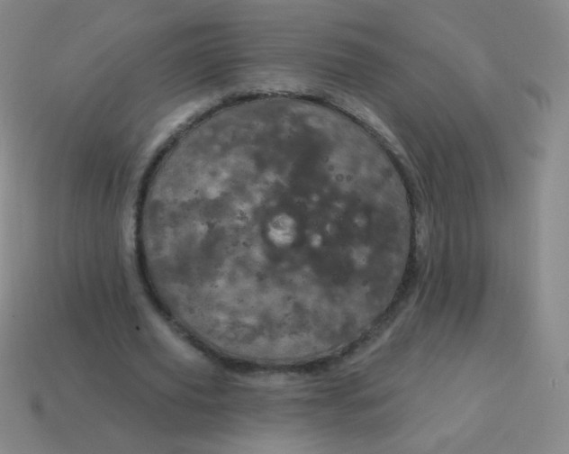 X0000115070629200911101303