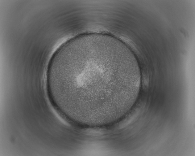 X0000115070630200911101303