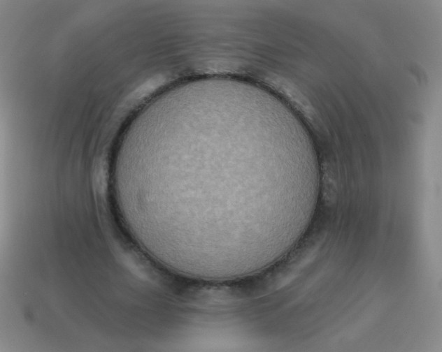 X0000115070631200911101303