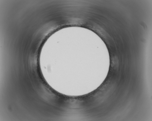 X0000115070632200911101303