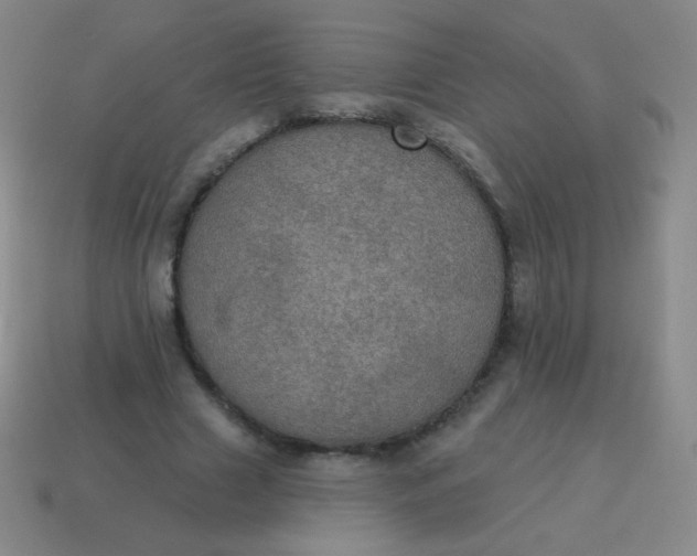 X0000115070633200911101303