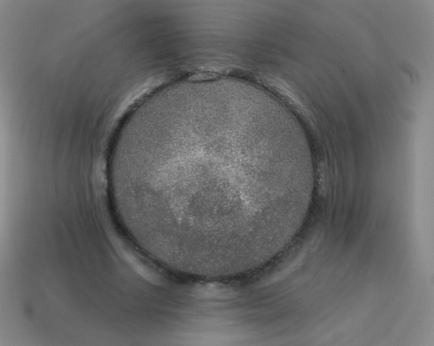 X0000115070634200911101303