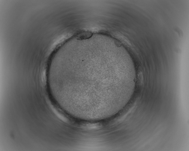X0000115070638200911101303