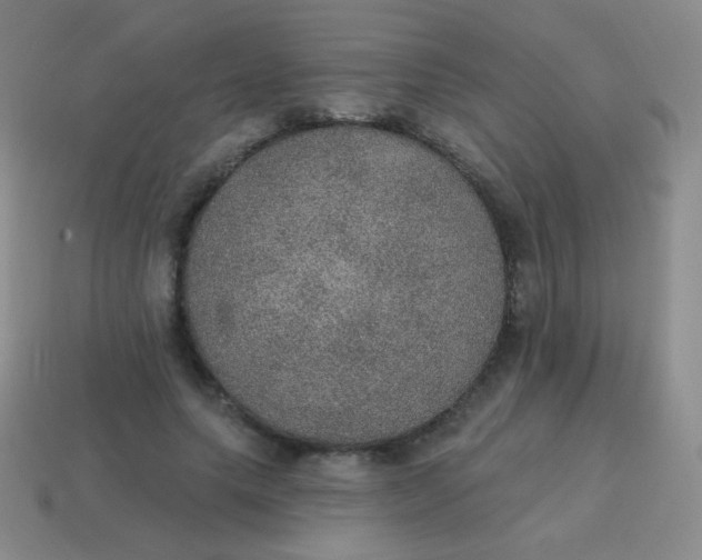 X0000115070639200911101303