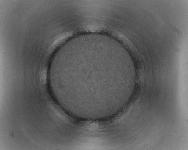 X0000115070640200911101303