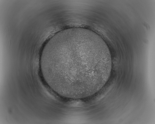 X0000115070642200911101303