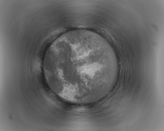X0000115070643200911101303