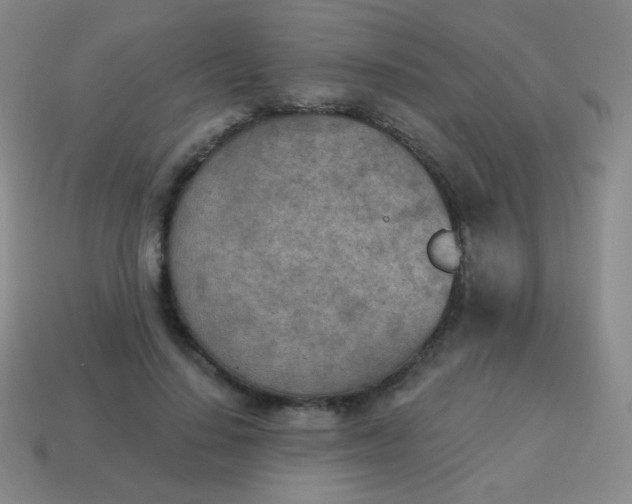 X0000115070644200911101303
