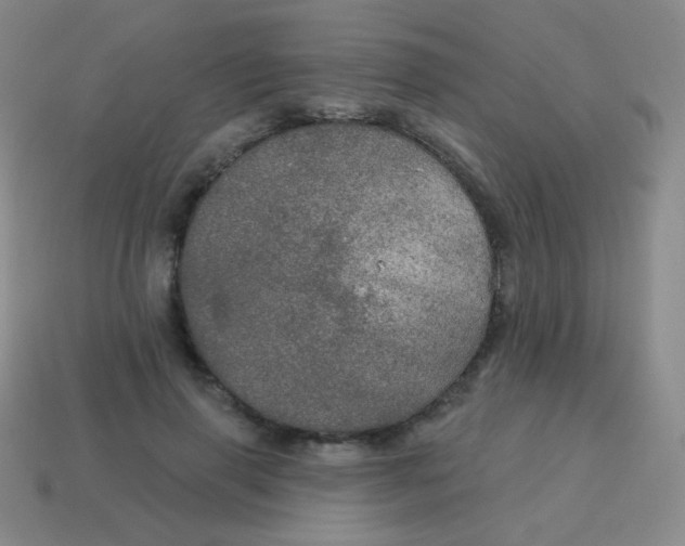 X0000115070645200911101303
