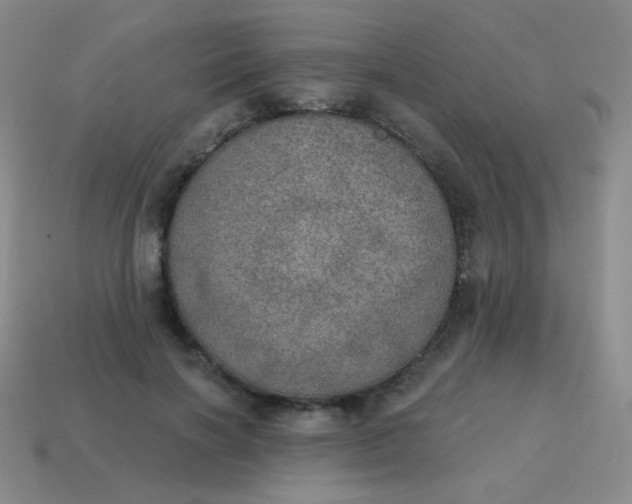 X0000115070646200911101303