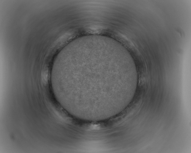 X0000115070647200911101303