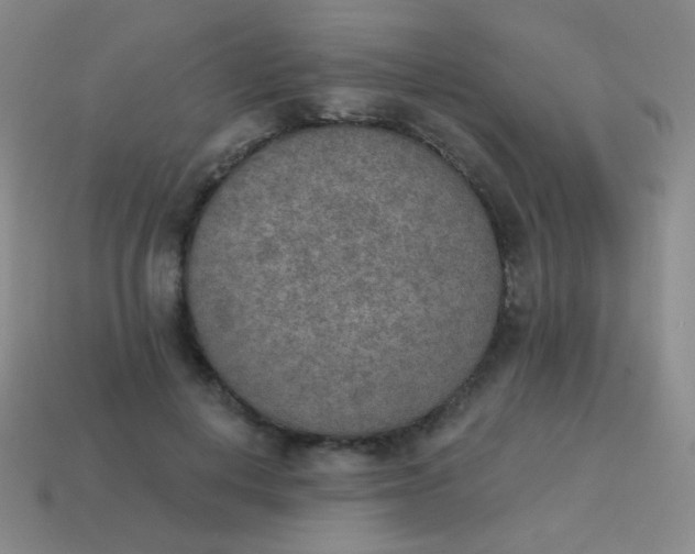 X0000115070648200911101303