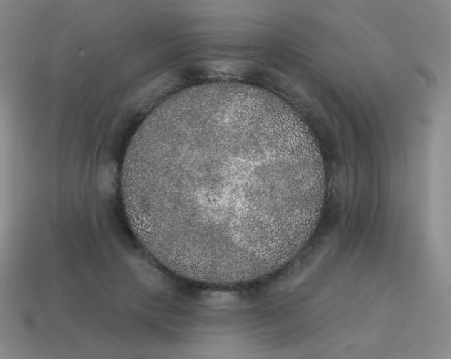 X0000115070649200911101303