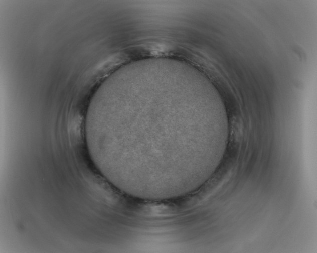 X0000115070650200911101303