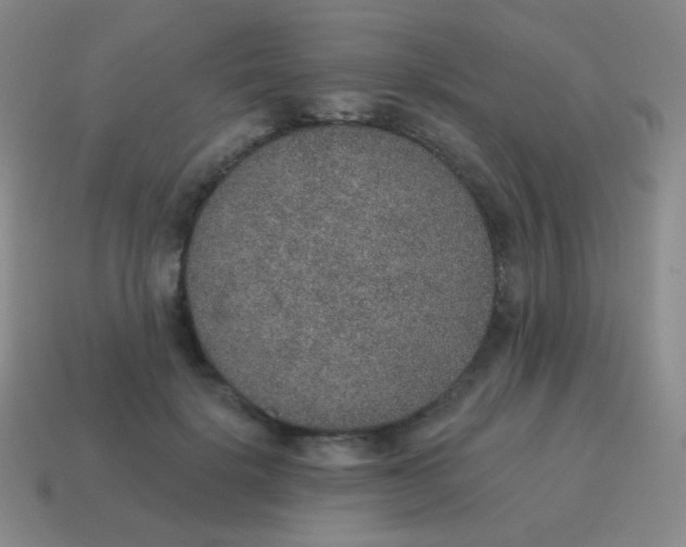 X0000115070652200911101303