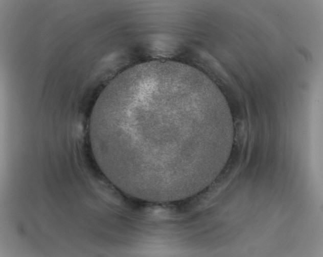 X0000115070655200911101303