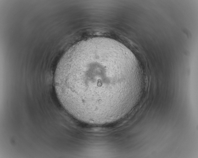 X0000115070657200911101303
