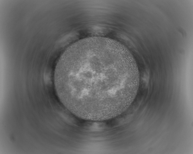 X0000115070663200911101304