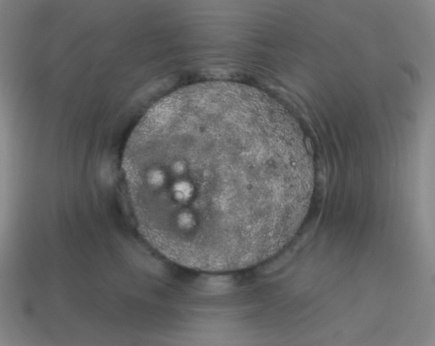 X0000115070665200911101304