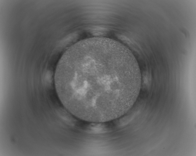 X0000115070667200911101304