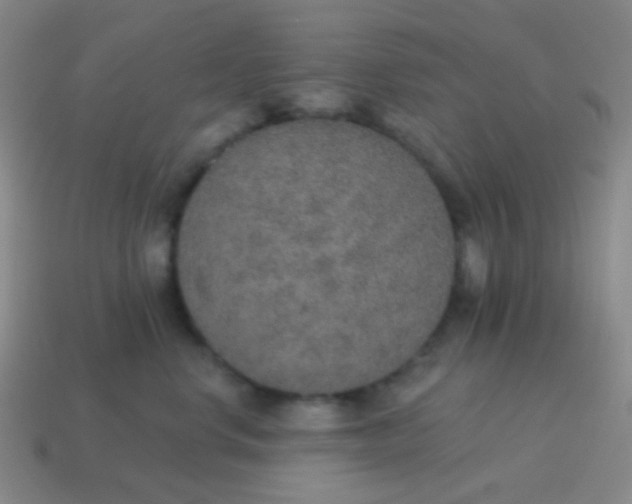 X0000115070668200911101304