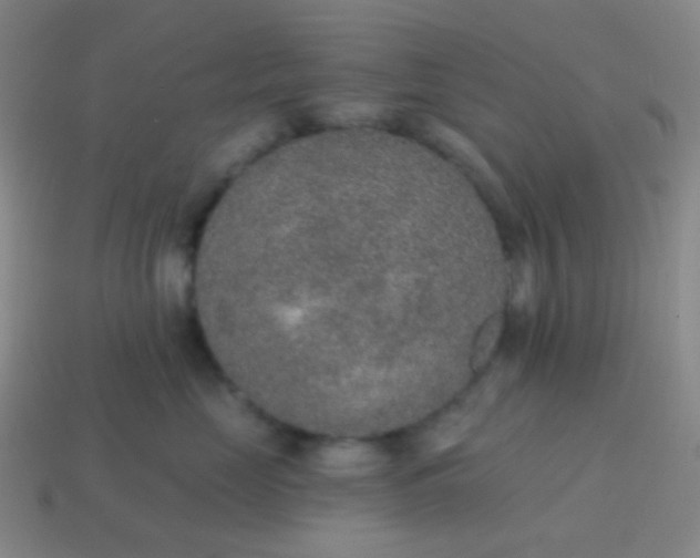 X0000115070669200911101304