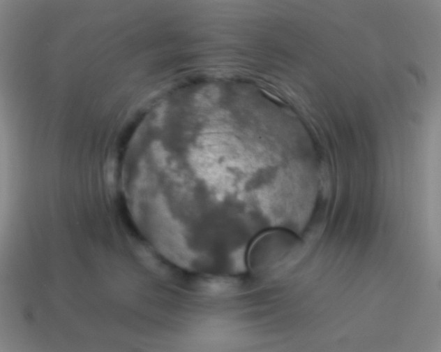 X0000115070670200911101304